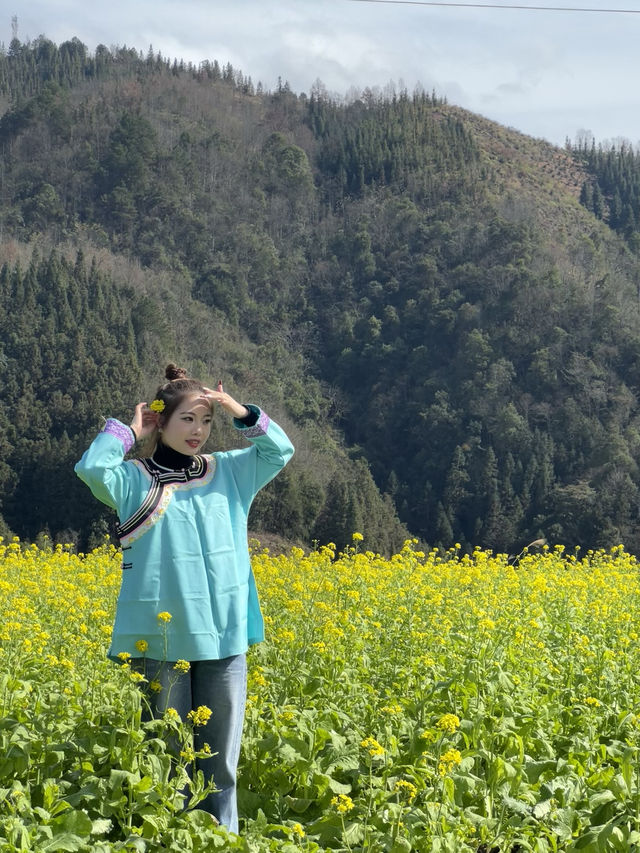 一想起春天的花｜好心情就會發芽