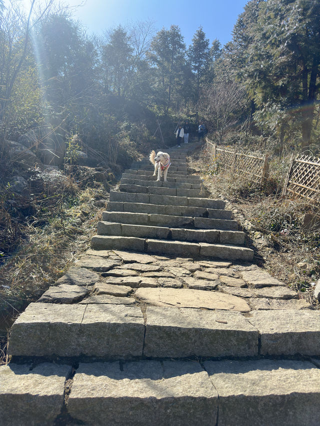 鸬鸟山親子徒步遊玩攻略來