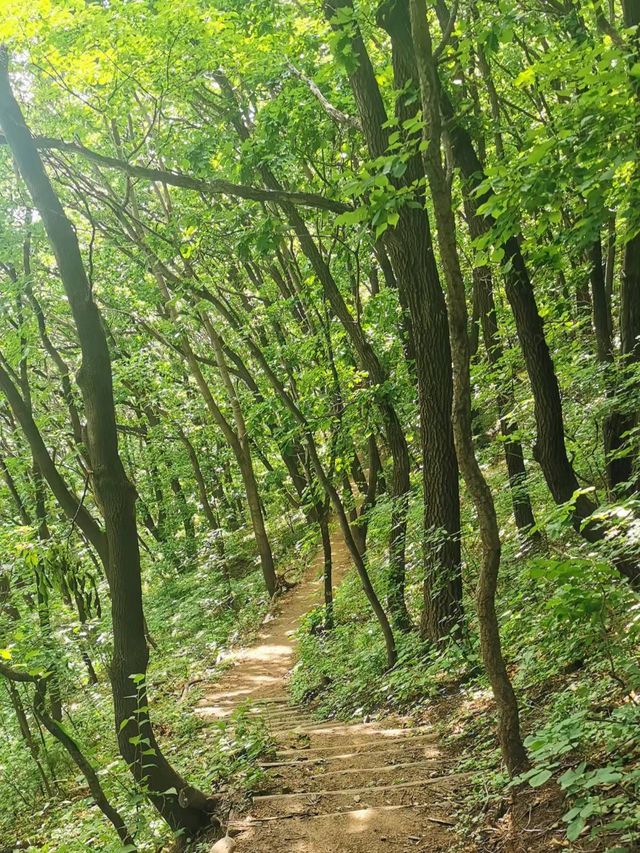 重走抗聯老路，追憶烽煙歲月‖城子山風景區