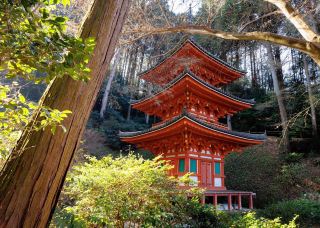 【Kyoto·Iwafune Temple·2024】