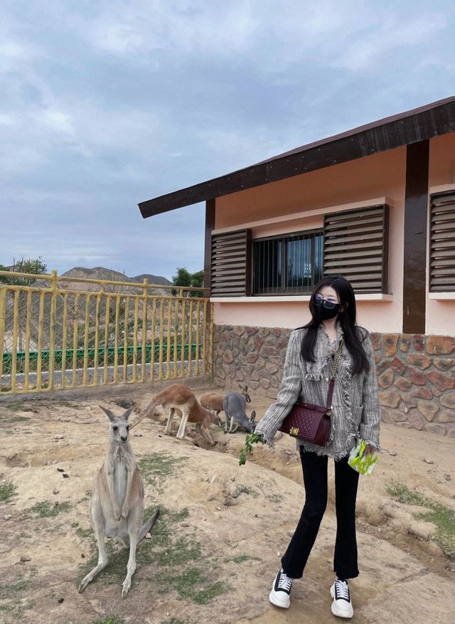 蘭州十一月遊｜據推測近期旅遊打卡地爆火
