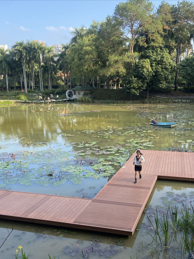 南寧市人民公園，現實版的綠野仙蹤！拍照打卡超出片！
