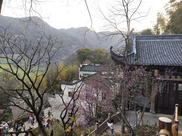 等待與你邂逅的不只是油菜花，還有桃花