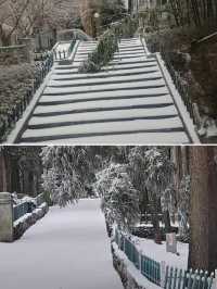 探索冬日仙鏡!“江西廬山”被譽為“南方賞雪天花板”