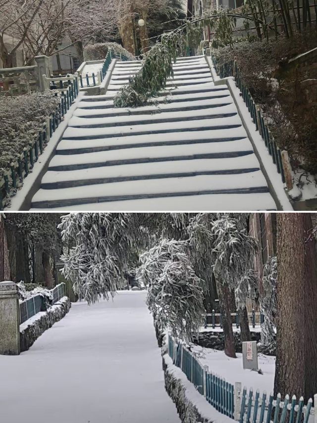 探索冬日仙鏡!“江西廬山”被譽為“南方賞雪天花板” 探索冬日仙鏡!“江西廬山”被譽為“南方賞雪天花板”