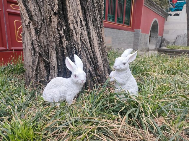 北京八大處公園｜龍年祈福