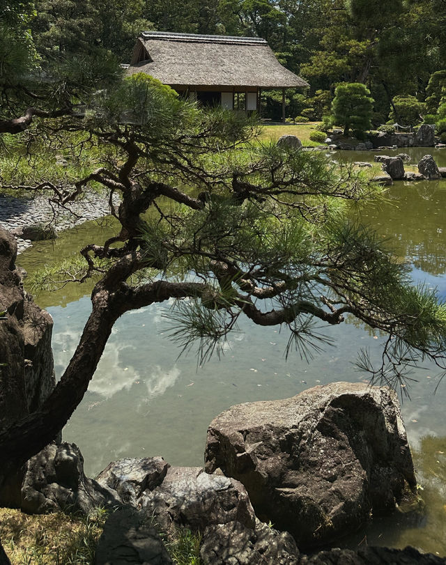 侘寂美的極致｜京都 Katsura 桂離宮