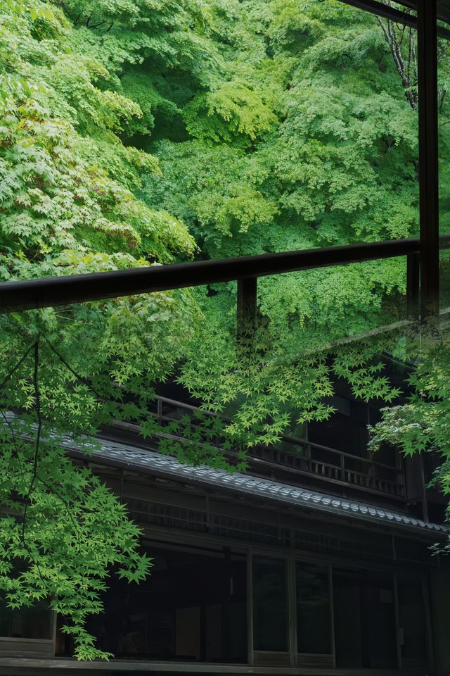 每年只開放兩次的日本最美庭院‖值得一去～