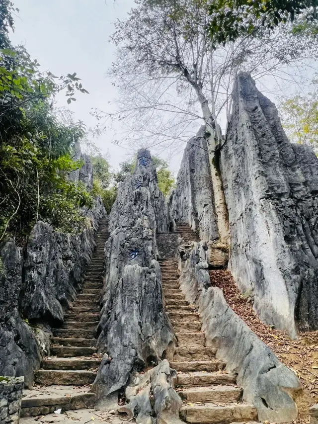 成都周邊|離成都最近的異域星球