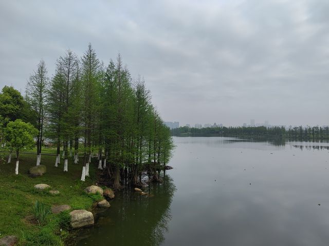 江西南昌 象湖濕地公園 洗肺絕佳地