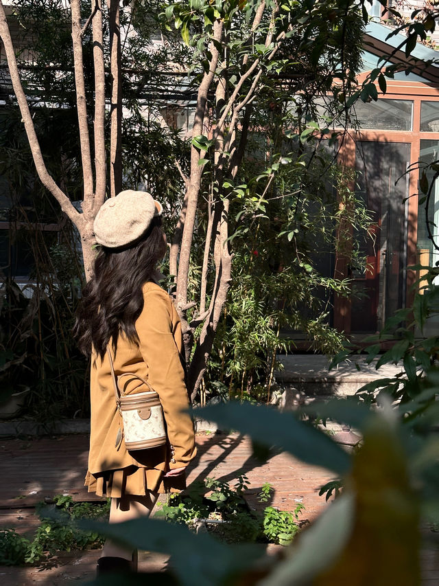 Astounding❗️The floor-to-ceiling windows of this Xi'an guesthouse are incredibly beautiful🪟✨