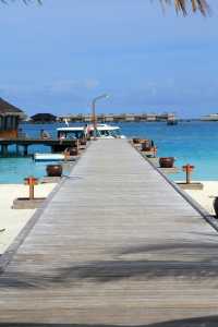 馬爾代夫，印度洋明珠，椰風樹影，水清沙白，浮潛天堂，蜜月聖地