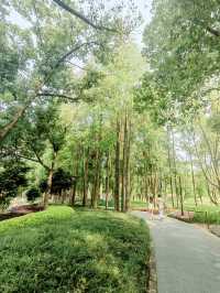 華東最大植物園，林田相依、湖岸美景交融