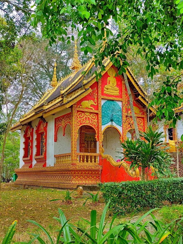 中緬第一寨丨西雙版納勐景來