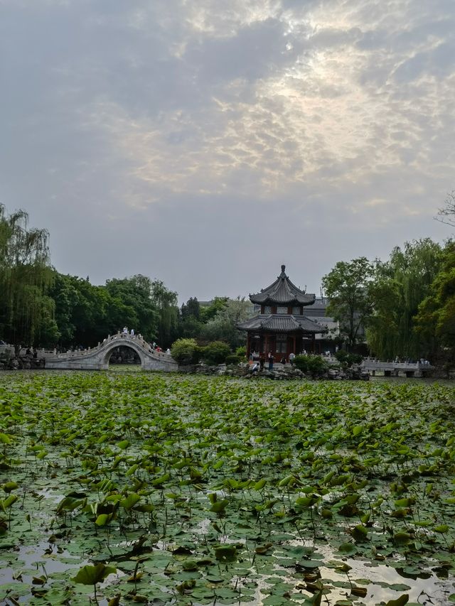 河北保定古莲花池 河北保定古莲花池