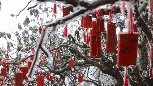 仙境欒川——賞雪滑雪遊玩攻略。