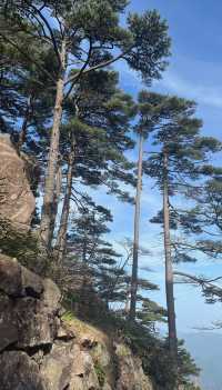 黃山的呼喚：與雲為友，與峰對話
