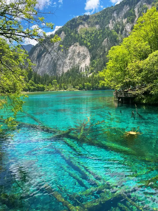 삼일 이박 자유여행 공략
