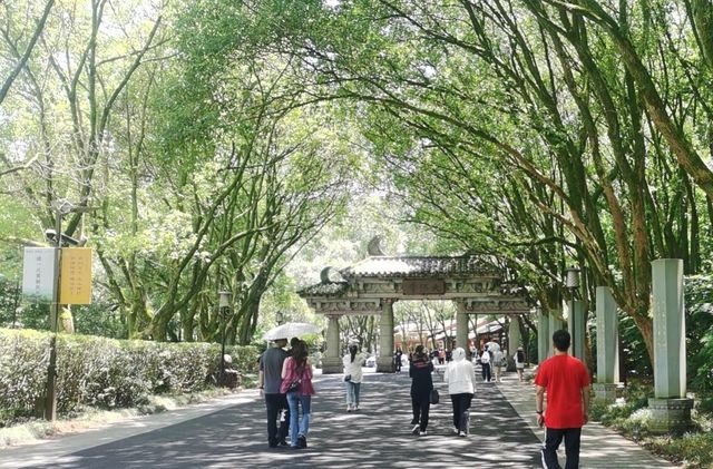 就衝新昌口號「一座天姥山，半部全唐詩」去了大佛寺