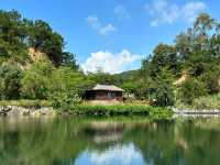 廈門洋麻山森林公園遊玩攻略！超詳細！