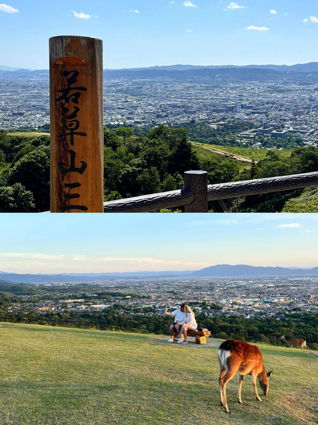 奈良的若草山攻略光怪鹿林，唯美日落打