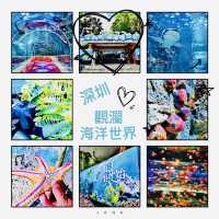 打卡深圳觀瀾海洋世界