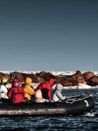 北極：北極探險之旅！冰川破冰船奇遇記