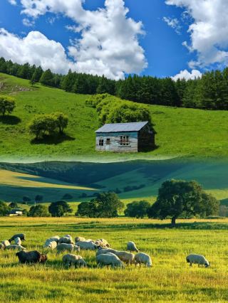 The beauty of Ulan Maodu Grassland is such that any random photo can be used as wallpaper