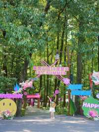 杭州夏日避暑｜聽我的帶娃這樣走不廢腿
