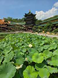 東林寺遊記