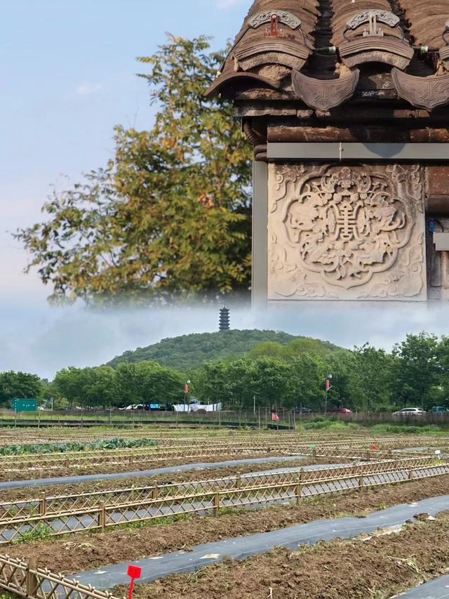 南京慢城枕松雲居