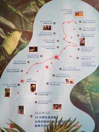 魔都遛娃｜去看一場亞洲象保護公益展！