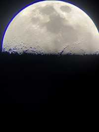 不出上海！在海邊度假抓螃蟹、看星空好治癒天啦嚕