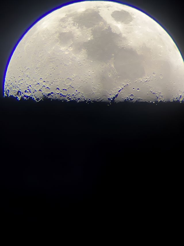 不出上海！在海邊度假抓螃蟹、看星空好治癒天啦嚕