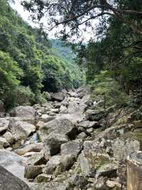 十萬大山森林公園