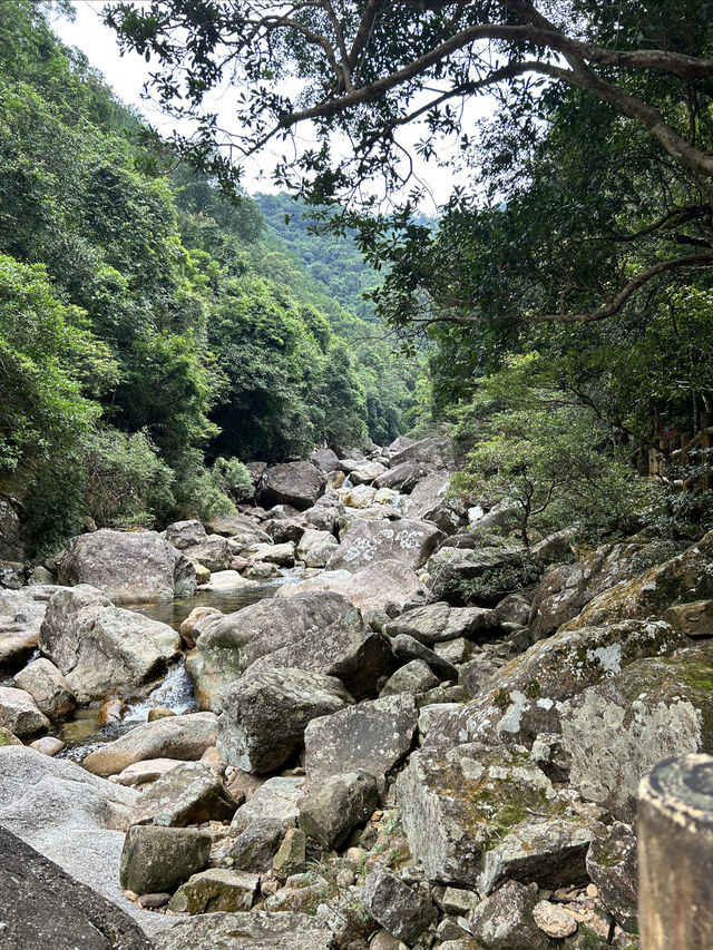 十萬大山森林公園