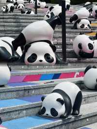 不是?!深圳你真的……