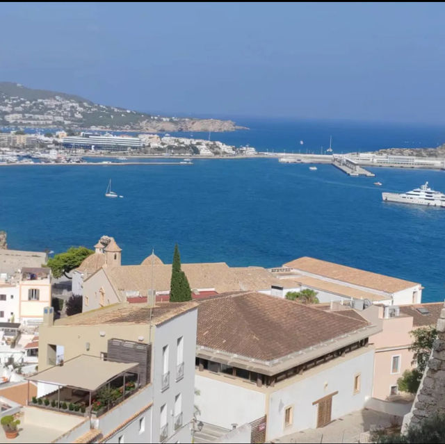 A day tour in ibiza Spain