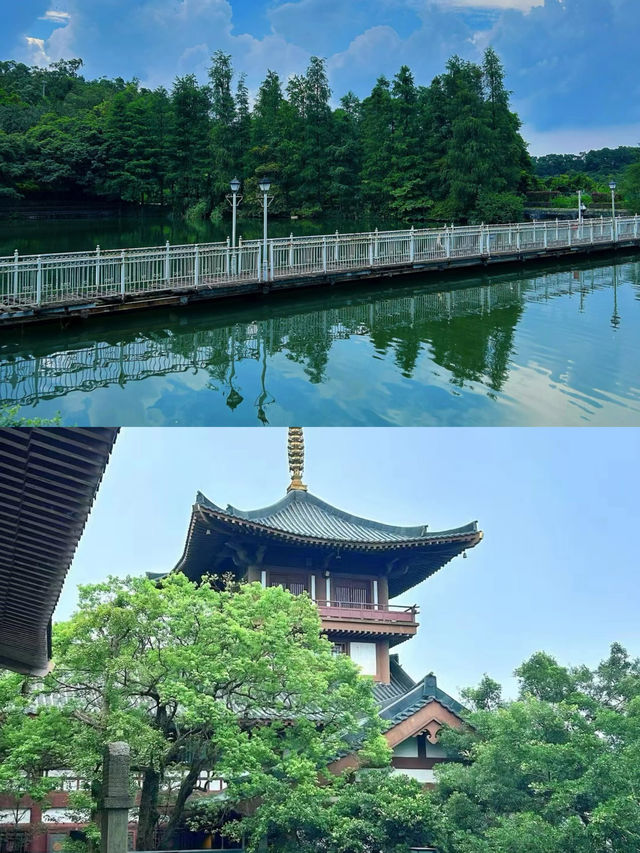 茶溪谷 | 童話森林小火車,我可以坐一整個下午!
