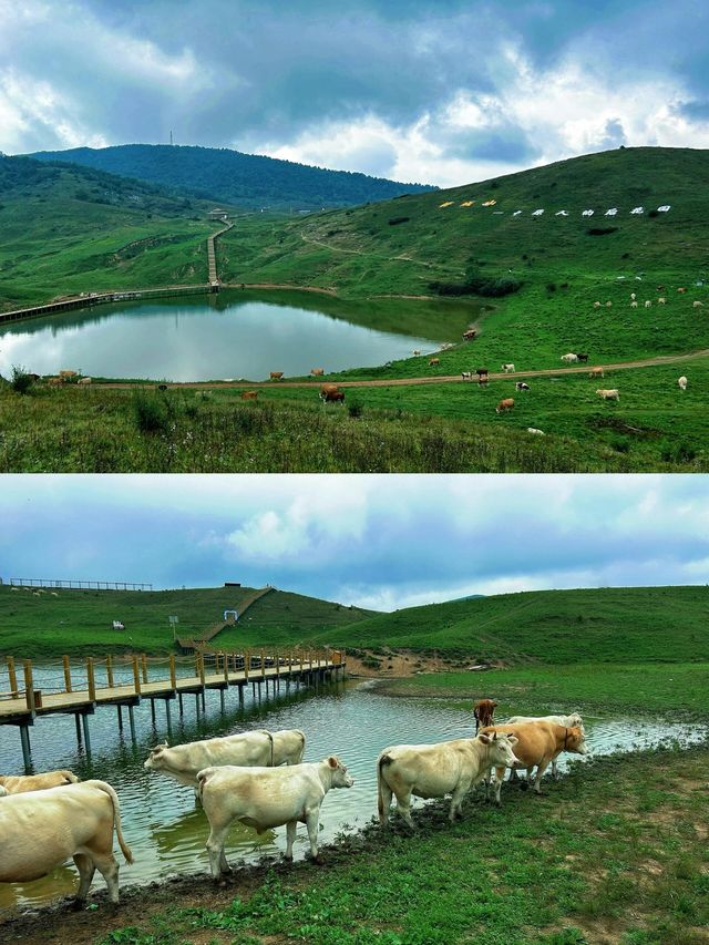 不經意間闖入天空仙境，這個如仙境般的地方既好拍又好玩  趁著秋天微涼天氣來一場徒步 忽晴忽暗的雲在頭頂飄過。
