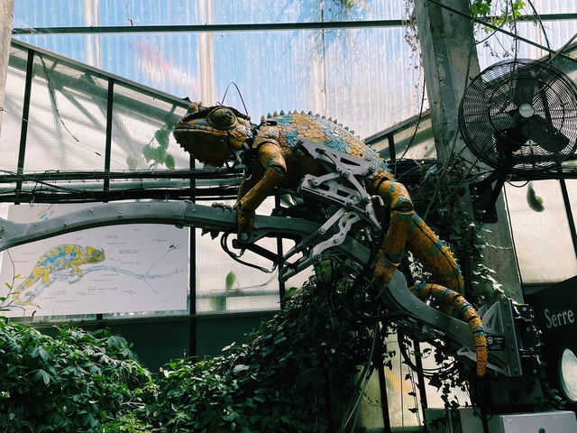 魅力南特｜奇幻機械島之旅。