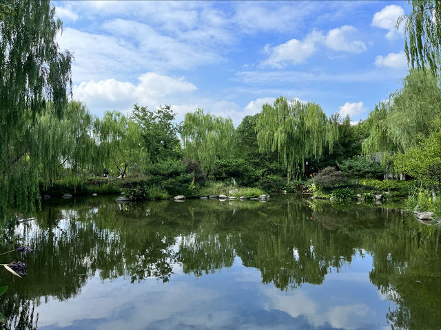 感覺像是住進公園裡。