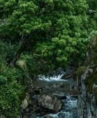 一顆被時間遺忘的明珠•雲塢古村。