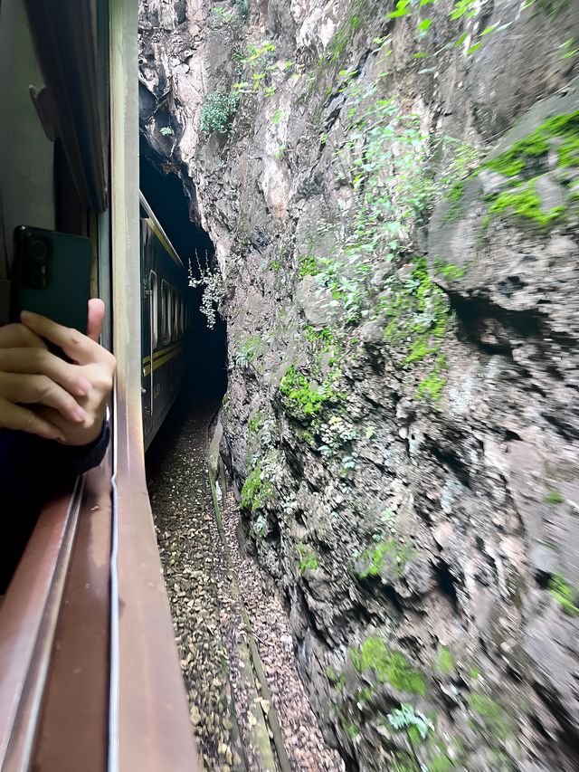 開遠觀光小火車。。
