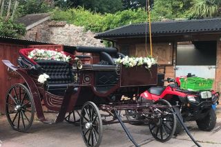 The Adventures of Tokay: A Stroll through the English Countryside.