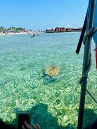 「仙本那夢境之旅：跳島、海景與巴瑤族。