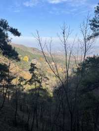 沂水靈泉山有哪些必看的景點？。
