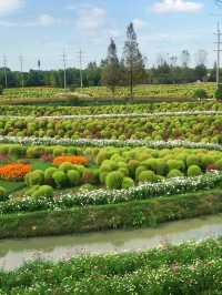 不是共青，另一個「莫奈花園」來襲！。