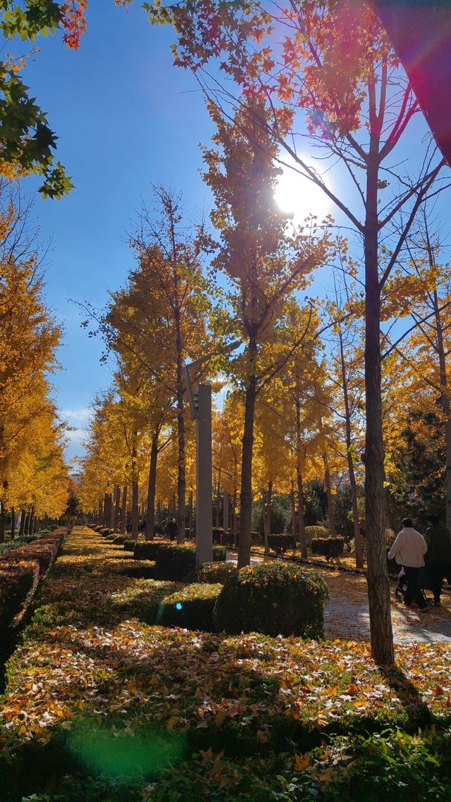 南宮五洲植物園——秋季親子遊好去處。