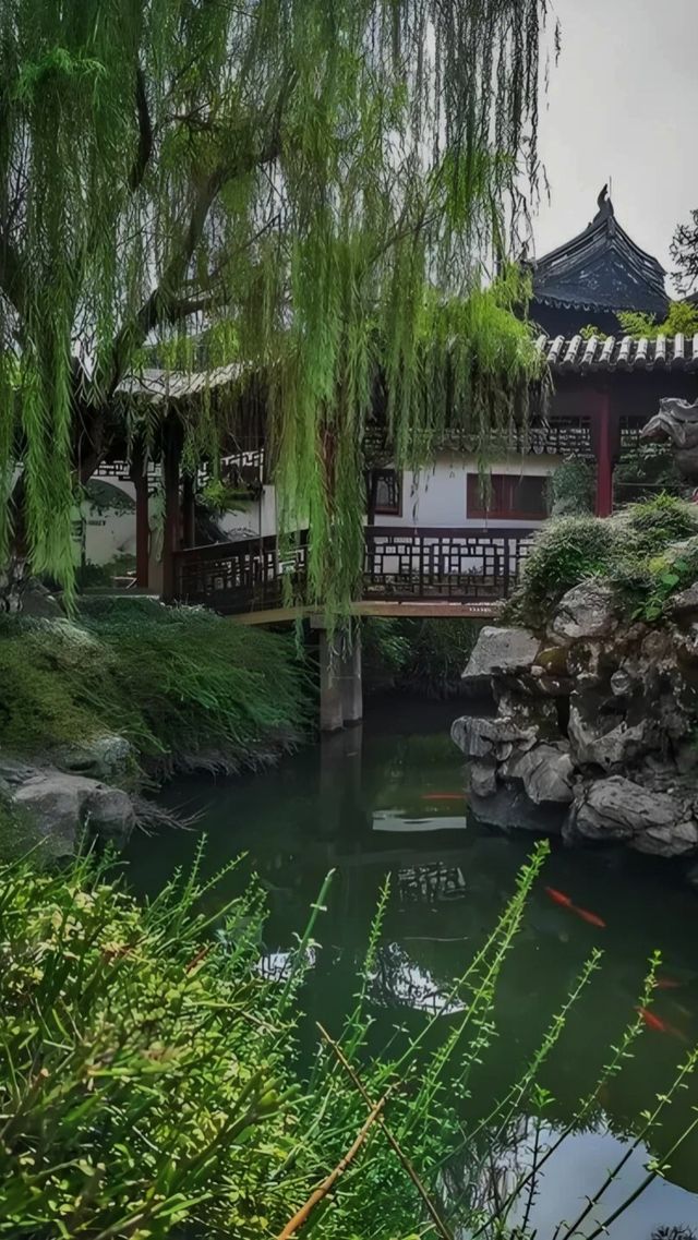 人回來了，魂還在蘇州，家人們誰懂啊。